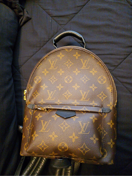 Louis Vuitton Handbags - AUTHENTIC Louis Vuitton Palm Springs PM Backpack!